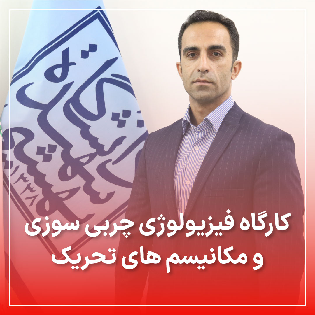 فیلم کارگاه فیزیولوژی بافت چربی