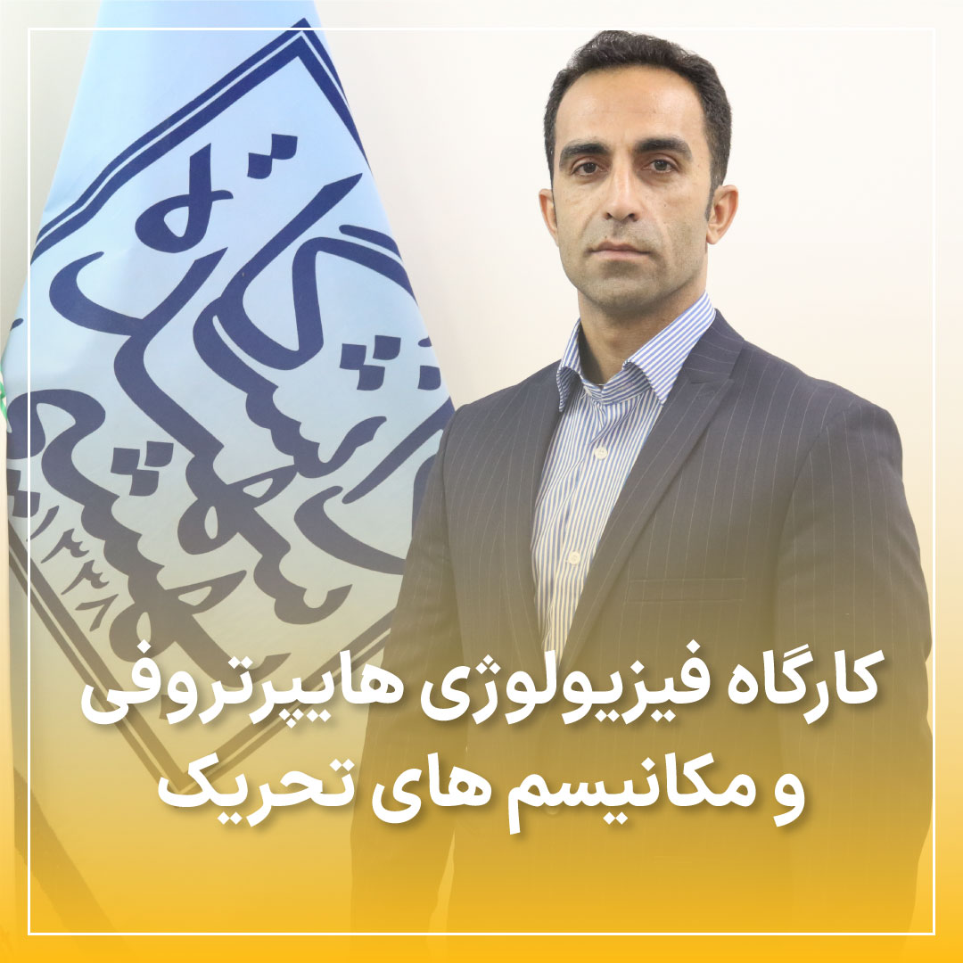 فیلم کارگاه فیزیولوژی هایپرتروفی عضلانی